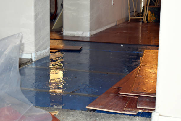 Professional Emergency Water Damage Restoration technician working in Pacific, WA